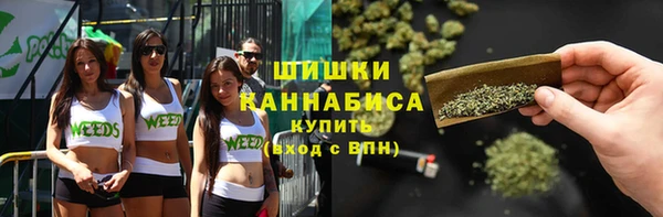 СК Апатиты