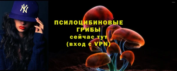 прущая мука Анива