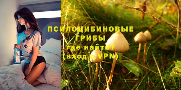 прущие крисы Медвежьегорск