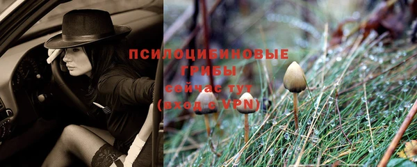 прущие крисы Медвежьегорск