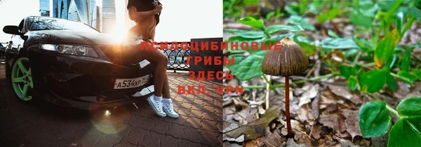 ALPHA-PVP Мегион