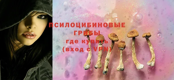 эйфоретик Медногорск