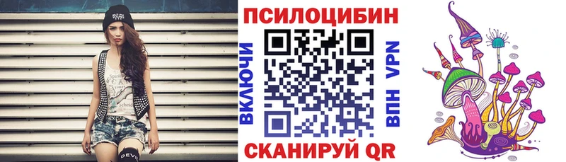 Псилоцибиновые грибы Cubensis  Чудово 